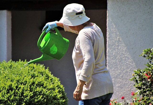 older lady in sunhat watering plants