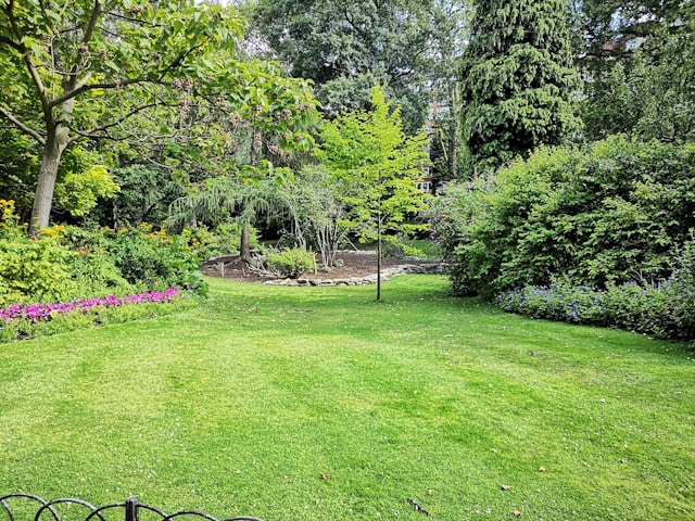 garden with big lawn
