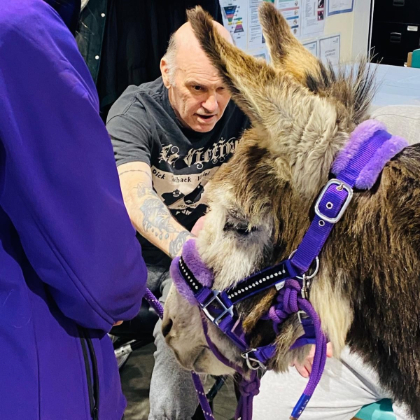 Resident stroking a Donkey