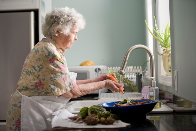 Lady Washing up