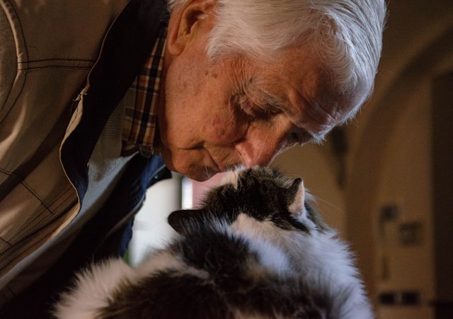Elderly man playing with cat
